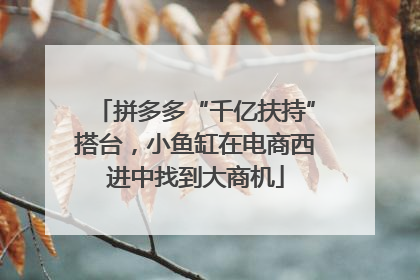 拼多多“千亿扶持”搭台，小鱼缸在电商西进中找到大商机