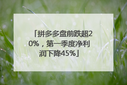 拼多多盘前跌超20%，第一季度净利润下降45%