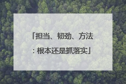 担当、韧劲、方法：根本还是抓落实