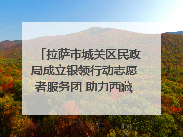 拉萨市城关区民政局成立银领行动志愿者服务团 助力西藏银发经济发展