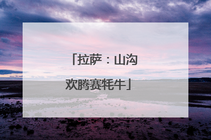 拉萨：山沟欢腾赛牦牛