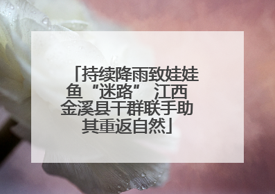 持续降雨致娃娃鱼“迷路” 江西金溪县干群联手助其重返自然