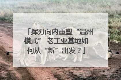 挥刃向内重塑“温州模式” 老工业基地如何从“新”出发？