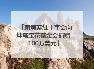 柬埔寨红十字会向坤塔宝花基金会捐赠100万美元