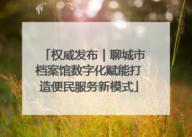 权威发布｜聊城市档案馆数字化赋能打造便民服务新模式