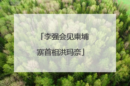 李强会见柬埔寨首相洪玛奈