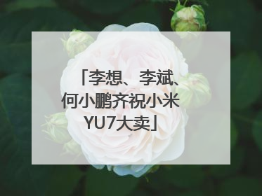 李想、李斌、何小鹏齐祝小米YU7大卖