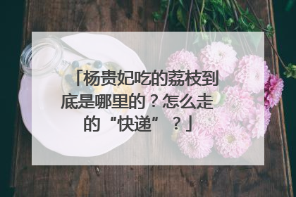 杨贵妃吃的荔枝到底是哪里的？怎么走的“快递”？