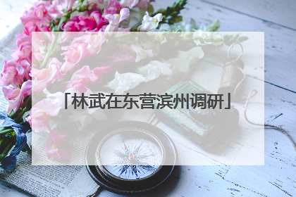 林武在东营滨州调研