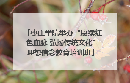 枣庄学院举办“赓续红色血脉 弘扬传统文化”理想信念教育培训班