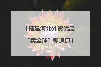 搭建河北外贸优品“卖全球”新通道