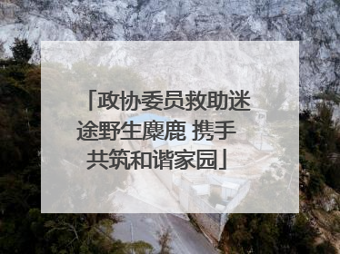 政协委员救助迷途野生麋鹿 携手共筑和谐家园
