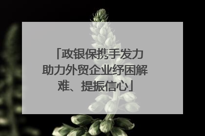 政银保携手发力 助力外贸企业纾困解难、提振信心