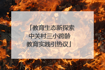 教育生态新探索 中关村三小跨龄教育实践引热议
