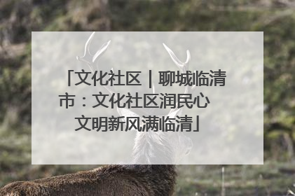 文化社区｜聊城临清市：文化社区润民心 文明新风满临清