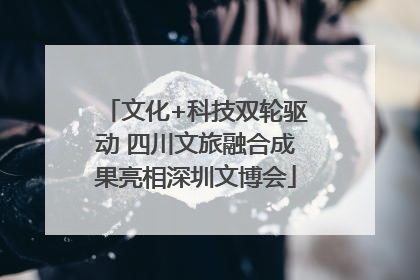 文化+科技双轮驱动 四川文旅融合成果亮相深圳文博会