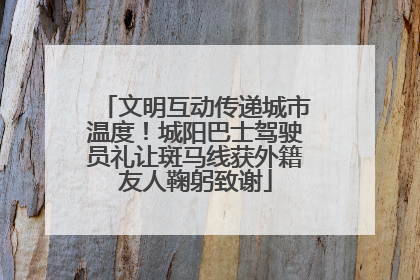 文明互动传递城市温度！城阳巴士驾驶员礼让斑马线获外籍友人鞠躬致谢