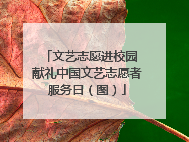 文艺志愿进校园 献礼中国文艺志愿者服务日（图）