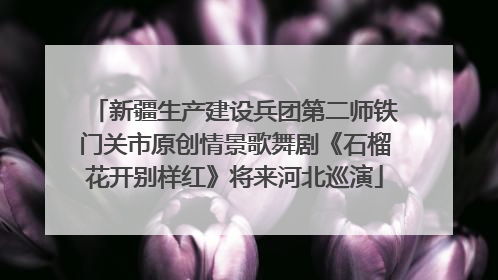 新疆生产建设兵团第二师铁门关市原创情景歌舞剧《石榴花开别样红》将来河北巡演