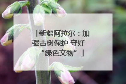 新疆阿拉尔：加强古树保护 守好“绿色文物”