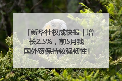 新华社权威快报｜增长2.5%，前5月我国外贸保持较强韧性