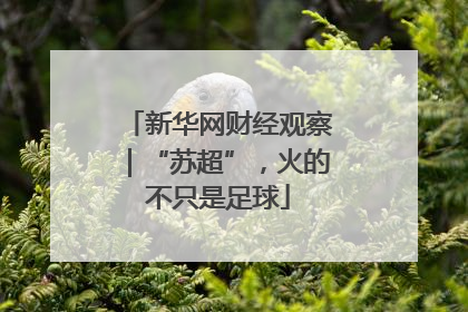 新华网财经观察｜“苏超”，火的不只是足球