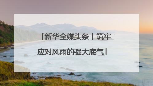 新华全媒头条丨筑牢应对风雨的强大底气