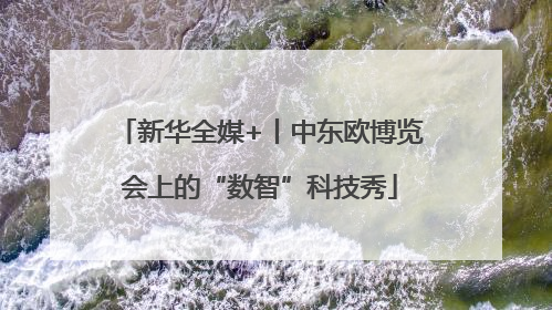 新华全媒+丨中东欧博览会上的“数智”科技秀