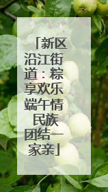 新区沿江街道：粽享欢乐端午情 民族团结一家亲