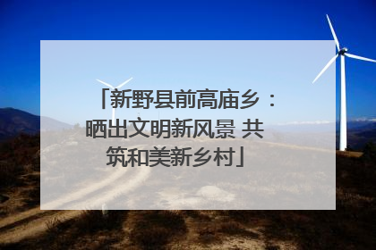 新野县前高庙乡：晒出文明新风景 共筑和美新乡村