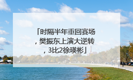 时隔半年重回赛场，樊振东上演大逆转，3比2徐瑛彬