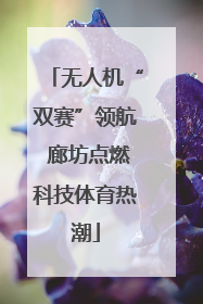 无人机“双赛”领航 廊坊点燃科技体育热潮