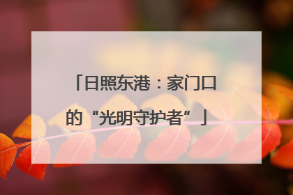 日照东港：家门口的“光明守护者”