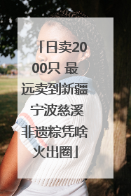 日卖2000只 最远卖到新疆 宁波慈溪非遗粽凭啥火出圈