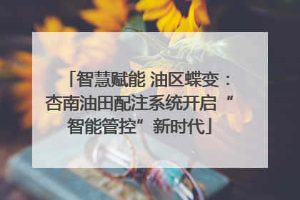 智慧赋能 油区蝶变：杏南油田配注系统开启“智能管控”新时代