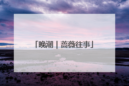 晚潮｜蔷薇往事