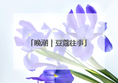 晚潮｜豆蔻往事