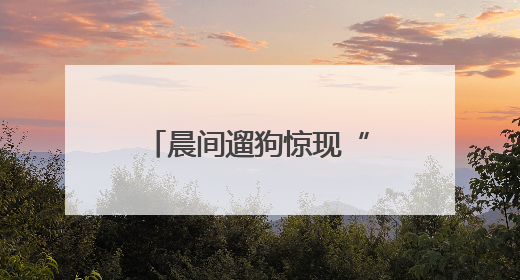晨间遛狗惊现“毒株”，市民这一举动亮了！