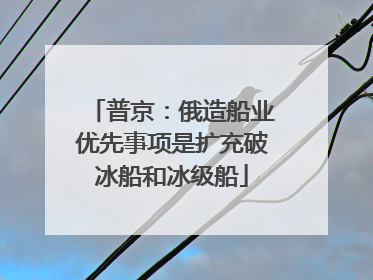 普京：俄造船业优先事项是扩充破冰船和冰级船