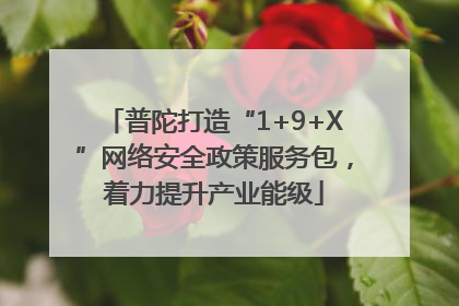 普陀打造“1+9+X”网络安全政策服务包，着力提升产业能级