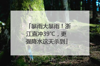 暴雨大暴雨！浙江直冲39℃，更强降水这天杀到