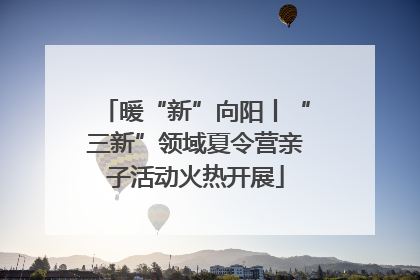 暖“新”向阳丨“三新”领域夏令营亲子活动火热开展