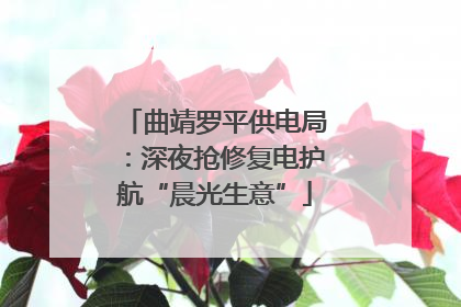 曲靖罗平供电局：深夜抢修复电护航“晨光生意”