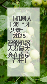 机器人上演“才艺秀” 2025智能机器人发展大会在南京召开
