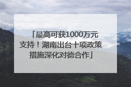 最高可获1000万元支持！湖南出台十项政策措施深化对德合作