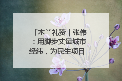 木兰礼赞｜张伟：用脚步丈量城市经纬，为民生项目按下“加速键”