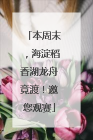 本周末，海淀稻香湖龙舟竞渡！邀您观赛