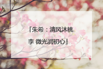 朱希：清风沐桃李 微光润初心