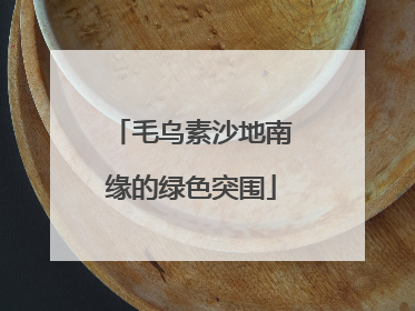 毛乌素沙地南缘的绿色突围