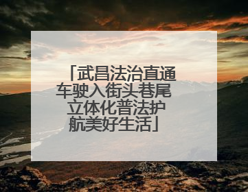 武昌法治直通车驶入街头巷尾 立体化普法护航美好生活